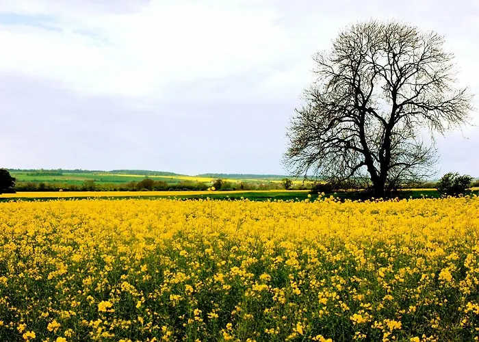 Host & Stay - Great Habton Cottage