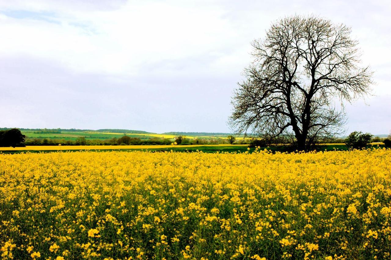 Holiday home Host & - Great Habton Malton